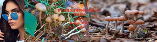 каннабис Алексин