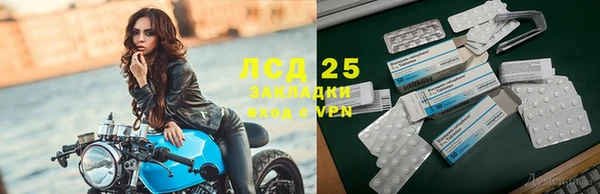 спиды Алзамай