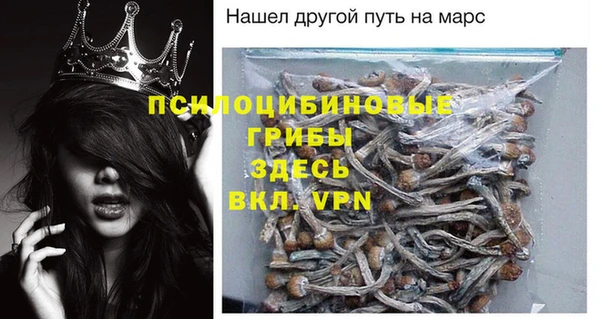 спиды Алзамай