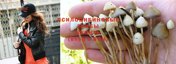 каннабис Алексин