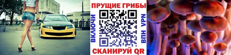 Псилоцибиновые грибы Cubensis мега зеркало Асино