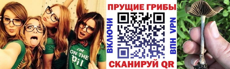 Галлюциногенные грибы мухоморы Асино